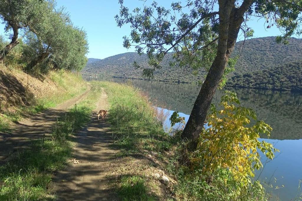 Freixo de Espada à CintaCasa De Freixo别墅 外观 照片